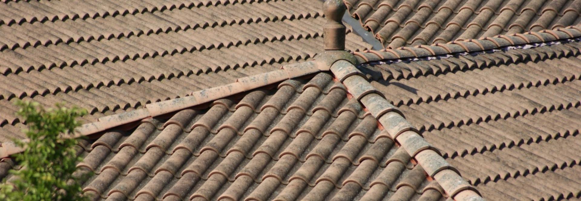 LUCENTUM - Rustica - Galanta Kolónia